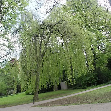 Privatzimmer Hagen